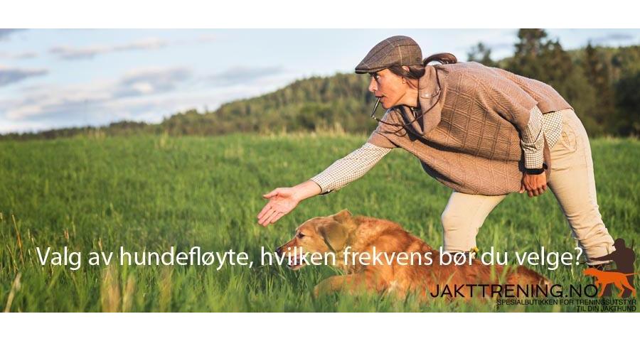 Valg av hundefløyte, hvilken frekvens bør du velge?
