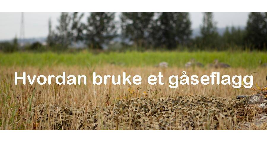 Hvordan bruke et gåseflagg
