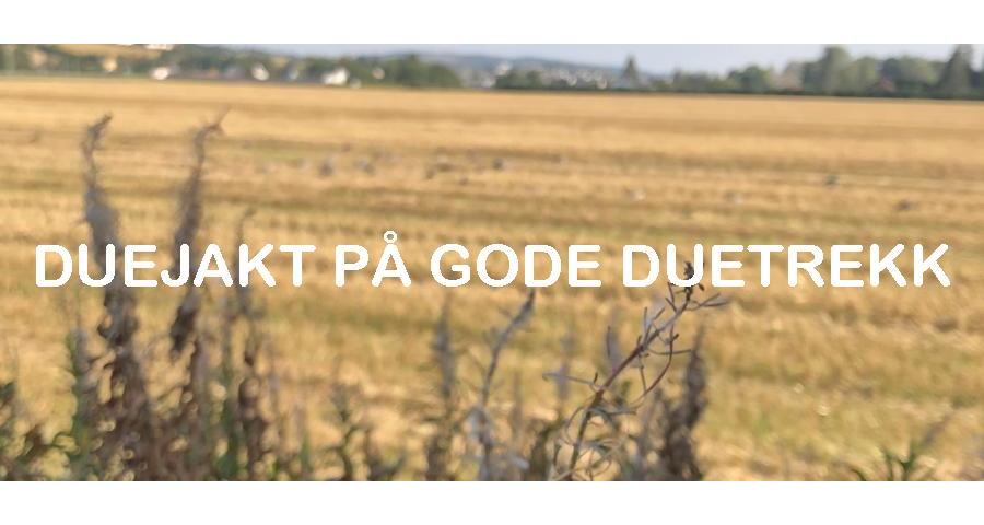 Duejakt på gode duetrekk