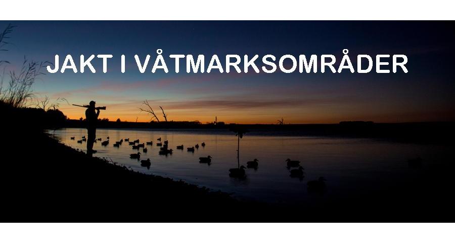 Hvordan komme i gang med og jakte ender i våtmarksområder?