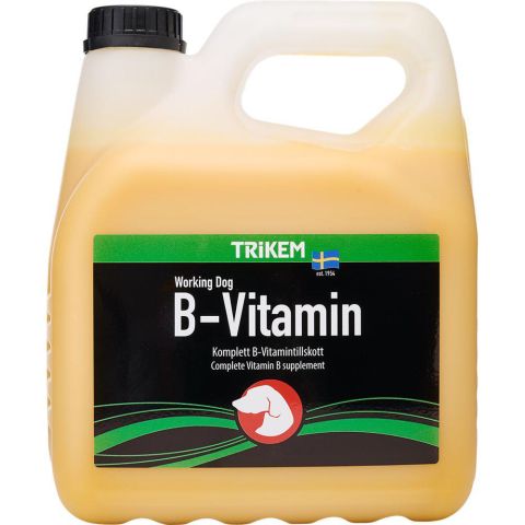 TRIKEM - B-Vitamin 3l