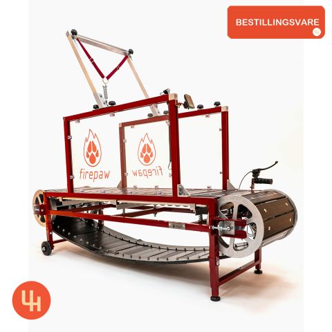 Firepaw Phoenix Generasjon 10 