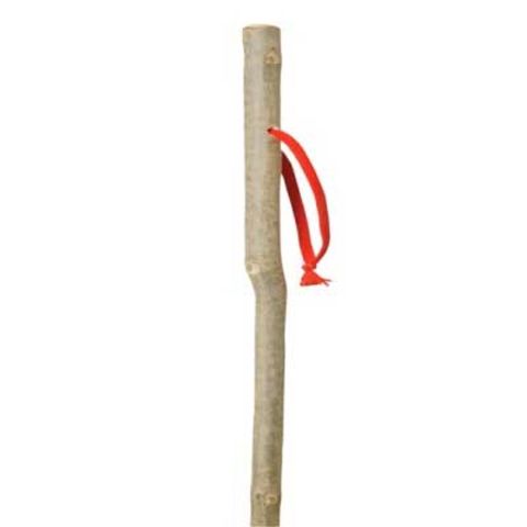 Classic Canes - Vandrestav junior ass. tresorter