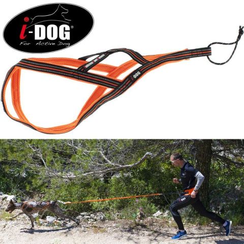 I-DOG Trekkselen Canicross X-BACK ONE