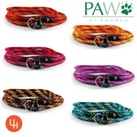 Kort Jakt / Retriverkobbel -Trail