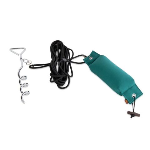 Løpende kanin i grønn canvas