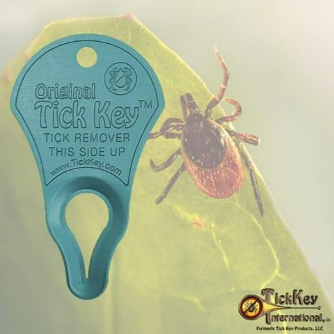 Original TickKey - (Mix Colours)