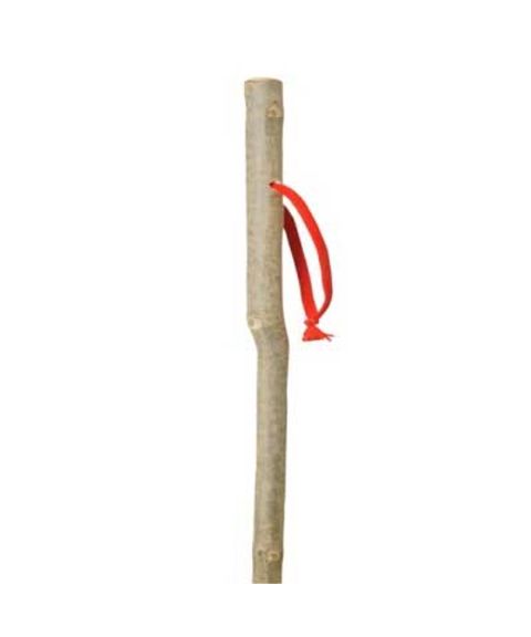 Classic Canes - Vandrestav junior ass. tresorter