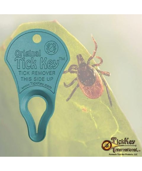 Original TickKey - (Mix Colours)